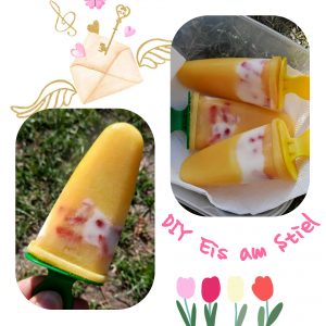 DIY Eis am Stiel