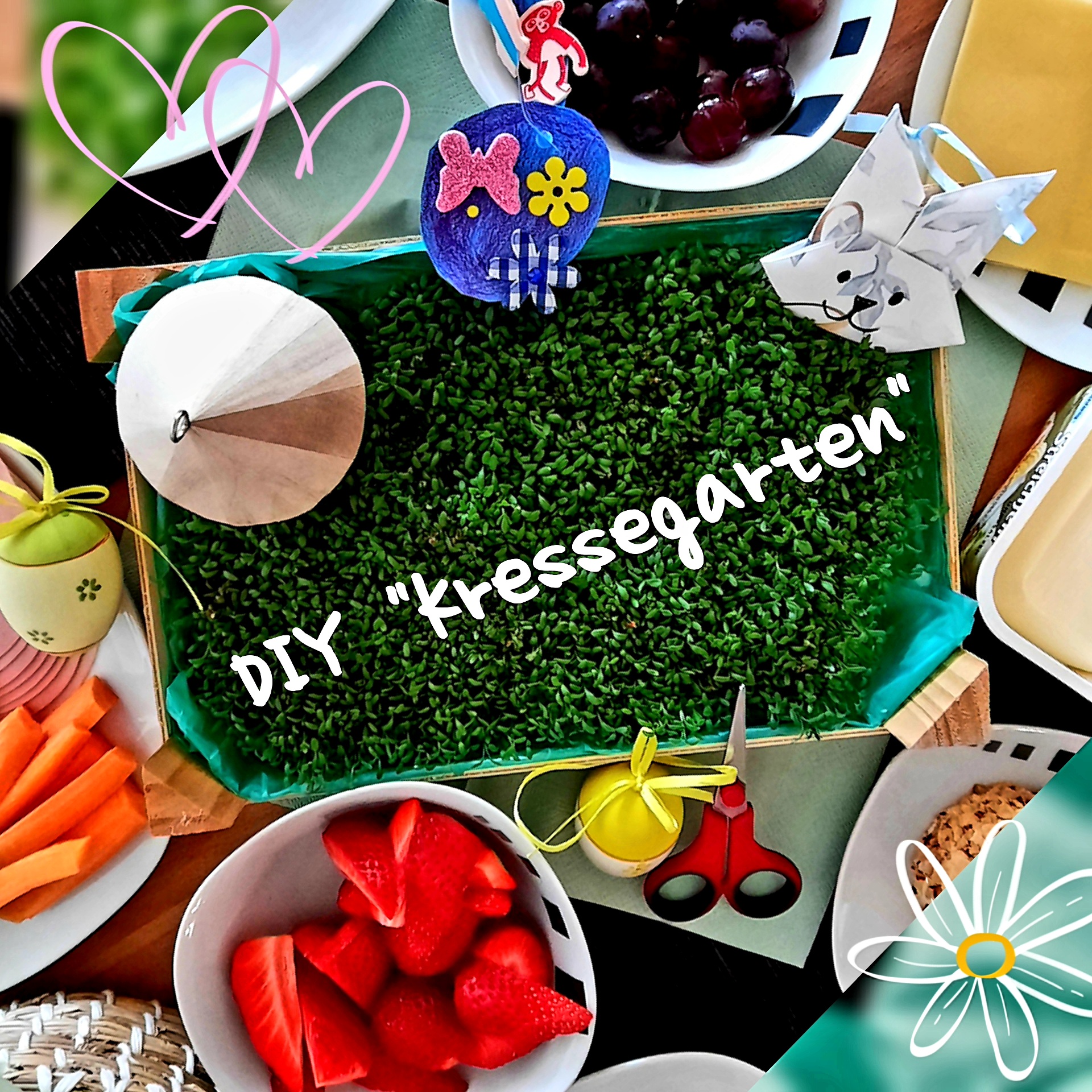 Read more about the article BLOG: DIY “Kresse-Garten mit Gartenkresse”